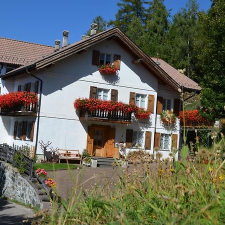 Villa Gioia Левико-Терме Экстерьер фото